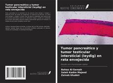 Borítókép a  Tumor pancreático y tumor testicular intersticial (leydig) en rata envejecida - hoz