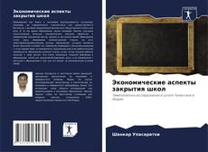 Bookcover of Экономические аспекты закрытия школ