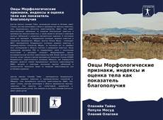 Capa do livro de Овцы Морфологические признаки, индексы и оценка тела как показатель благополучия 