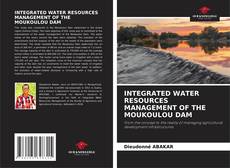 Borítókép a  INTEGRATED WATER RESOURCES MANAGEMENT OF THE MOUKOULOU DAM - hoz