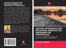 Bookcover of GESTÃO INTEGRADA DOS RECURSOS HÍDRICOS DA BARRAGEM DE MOUKOULOU