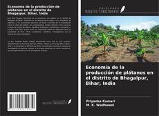Buchcover von Economía de la producción de plátanos en el distrito de Bhagalpur, Bihar, India