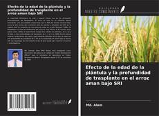 Bookcover of Efecto de la edad de la plántula y la profundidad de trasplante en el arroz aman bajo SRI