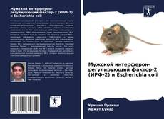 Capa do livro de Мужской интерферон-регулирующий фактор-2 (ИРФ-2) и Escherichia coli 