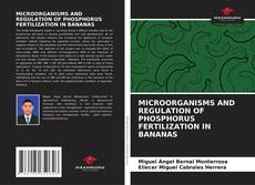 Copertina di MICROORGANISMS AND REGULATION OF PHOSPHORUS FERTILIZATION IN BANANAS