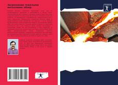 Загрязнение тяжелыми металлами: обзор kitap kapağı