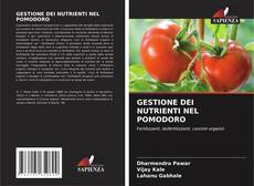 Buchcover von GESTIONE DEI NUTRIENTI NEL POMODORO