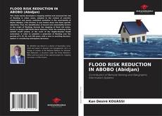 Borítókép a  FLOOD RISK REDUCTION IN ABOBO (Abidjan) - hoz