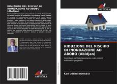 Capa do livro de RIDUZIONE DEL RISCHIO DI INONDAZIONE AD ABOBO (Abidjan) 