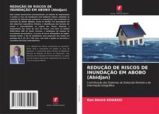 REDUÇÃO DE RISCOS DE INUNDAÇÃO EM ABOBO (Abidjan) kitap kapağı