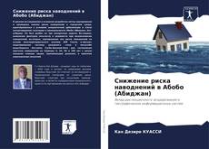 Buchcover von Снижение риска наводнений в Абобо (Абиджан)