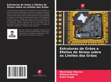 Bookcover of Estruturas de Grãos e Efeitos do Stress sobre os Limites dos Grãos