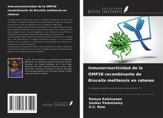 Bookcover of Inmunorreactividad de la OMP28 recombinante de Brucella melitensis en ratones