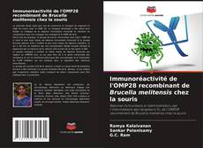 Portada del libro de Immunoréactivité de l'OMP28 recombinant de Brucella melitensis chez la souris