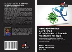 Capa do livro de Immunoreattività dell'OMP28 ricombinante di Brucella melitensis nel topo 