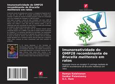 Capa do livro de Imunoreatividade do OMP28 recombinante de Brucella melitensis em ratos 