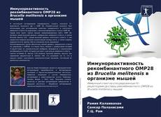 Buchcover von Иммунореактивность рекомбинантного OMP28 из Brucella melitensis в организме мышей