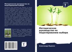 Buchcover von Методическое руководство по моделированию выбора
