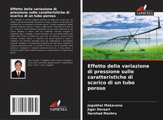 Capa do livro de Effetto della variazione di pressione sulle caratteristiche di scarico di un tubo poroso 