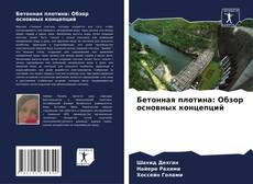 Borítókép a  Бетонная плотина: Обзор основных концепций - hoz