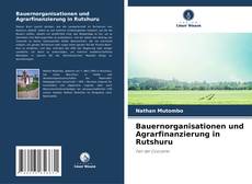 Bauernorganisationen und Agrarfinanzierung in Rutshuru kitap kapağı