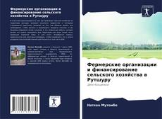 Фермерские организации и финансирование сельского хозяйства в Рутшуру kitap kapağı