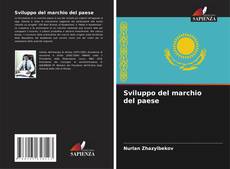 Buchcover von Sviluppo del marchio del paese