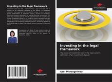 Buchcover von Investing in the legal framework