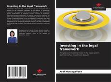 Bookcover of Investing in the legal framework