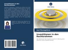 Investitionen in den Rechtsrahmen kitap kapağı