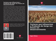 Factores que Influenciam a Produção de Sorgo nos Países em Desenvolvimento的封面