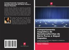 Comportamento magnético de Nanohexaferritas de Bário Puros e Níquel Dopados kitap kapağı