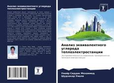 Buchcover von Анализ эквивалентного углерода теплоэлектростанции