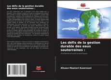 Portada del libro de Les défis de la gestion durable des eaux souterraines :