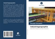 Capa do livro de Industriegeographie 