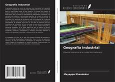 Обложка Geografía industrial