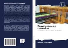 Capa do livro de Индустриальная география 