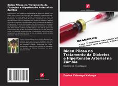 Bookcover of Biden Pilosa no Tratamento da Diabetes e Hipertensão Arterial na Zâmbia