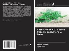 Bookcover of Adsorción de Cu2+ sobre Phoenix Dactylifera L. hojas