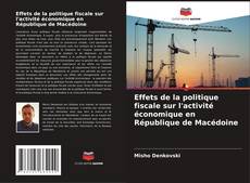 Effets de la politique fiscale sur l'activité économique en République de Macédoine kitap kapağı