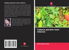 Cabaça perene num relance kitap kapağı