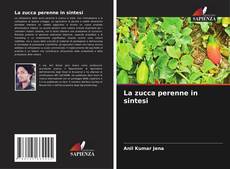 Buchcover von La zucca perenne in sintesi