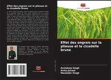 Bookcover of Effet des engrais sur la plieuse et la cicadelle brune