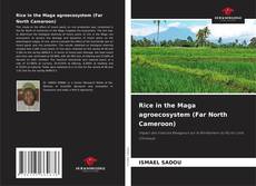 Bookcover of Rice in the Maga agroecosystem (Far North Cameroon)