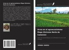 Portada del libro de Arroz en el agroecosistema Maga (Extremo Norte de Camerún)