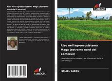 Copertina di Riso nell'agroecosistema Maga (estremo nord del Camerun)