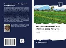 Capa do livro de Рис в агроэкосистеме Мага (Крайний Север Камеруна) 