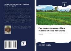 Bookcover of Рис в агроэкосистеме Мага (Крайний Север Камеруна)