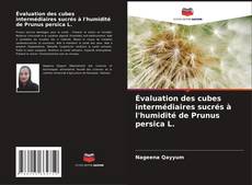 Capa do livro de Évaluation des cubes intermédiaires sucrés à l'humidité de Prunus persica L. 