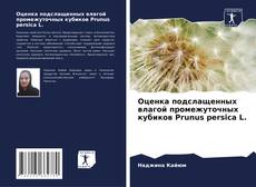 Buchcover von Оценка подслащенных влагой промежуточных кубиков Prunus persica L.